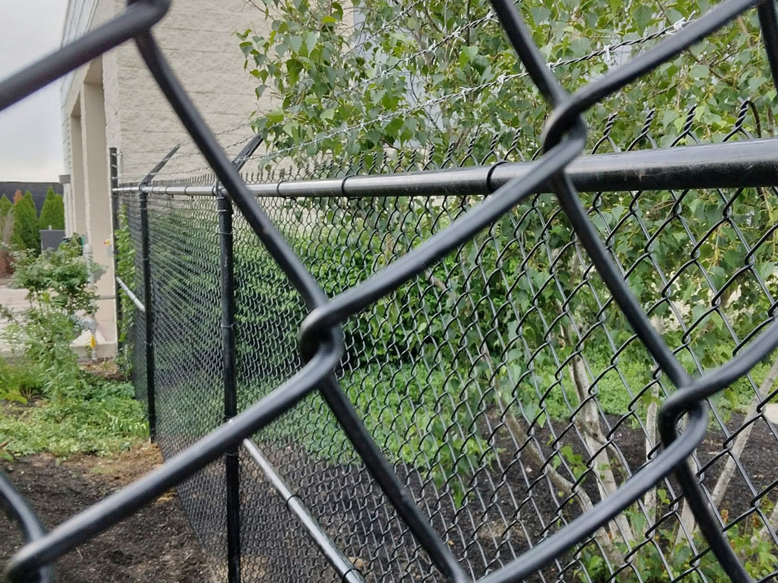 Photo of a black chain link fence