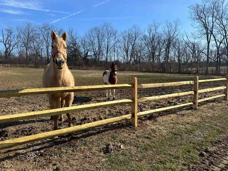 Agricultural fence installation