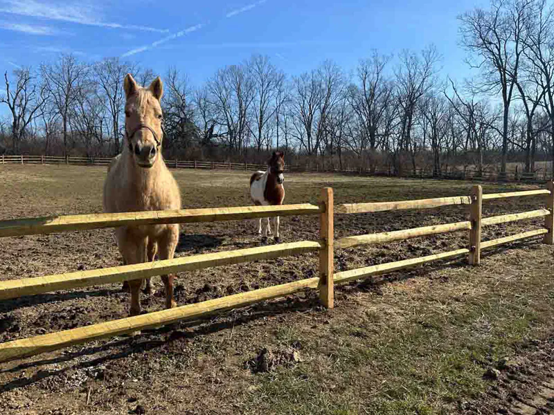 Agricultural fence installation